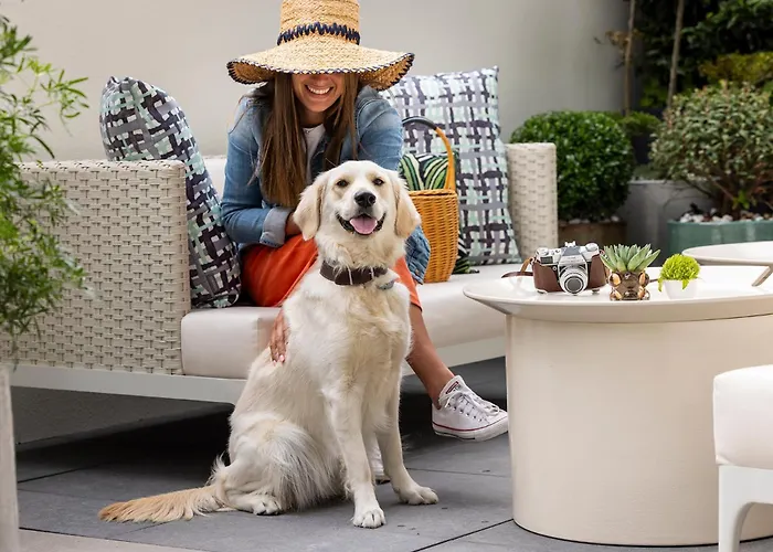 Pet Friendly hotel: L-Avenue